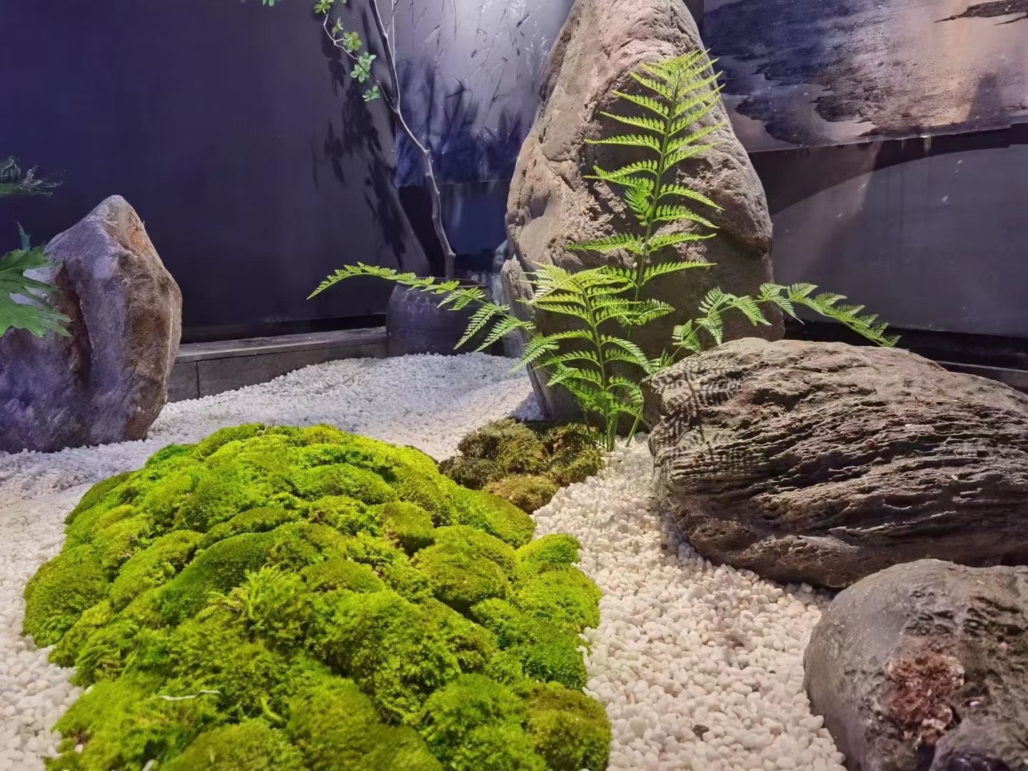 1627655726170410.jpg 1627655726170410.jpg